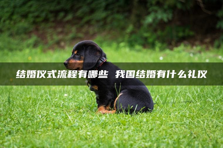 结婚仪式流程有哪些 我国结婚有什么礼仪