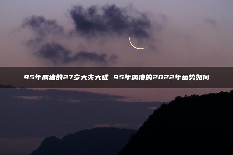 95年属猪的27岁大灾大难 95年属猪的2022年运势如何