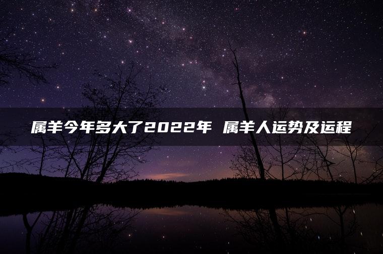 属羊今年多大了2022年 属羊人运势及运程
