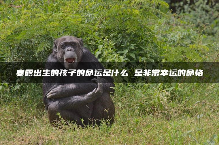 寒露出生的孩子的命运是什么 是非常幸运的命格