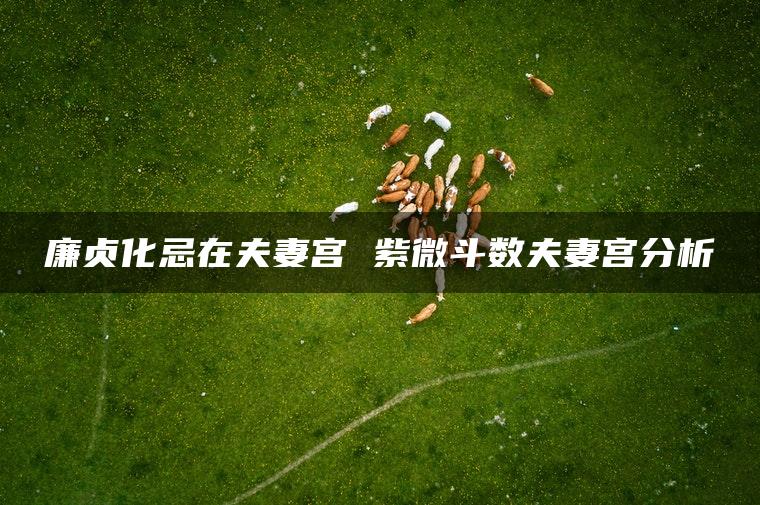 廉贞化忌在夫妻宫 紫微斗数夫妻宫分析